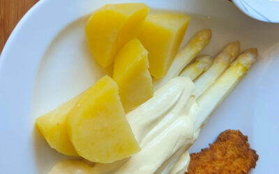 Spargel mit Kartoffeln & Cordon bleu aus dem Ninja Speedi