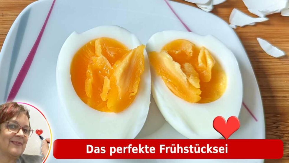 Lust auf mehr aus der Heißluftfritteuse leckere Gerichte einfach Heißluftofen für gesunde